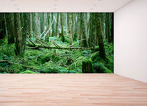 壁紙,印刷,オリジナル,貼り替え,作成,デザイン,インテリア,安い,賃貸,DIY,写真,簡単,スマホ,自分で,貼って,剥がせる,個人,リフォーム,住宅,生活,部屋,注文住宅,模様替え,自然,格安,再剥離,手持ち写真