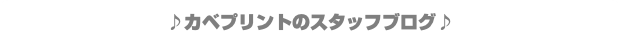 ♪カベプリントのスタッフブログ♪